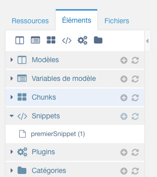 Onglet snippet de MODX